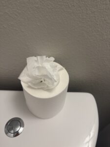 Bathroom cleaning service