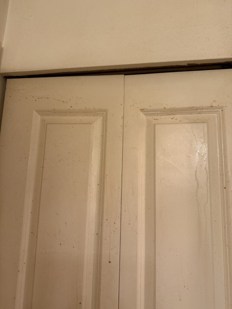 Door_Before cleaning