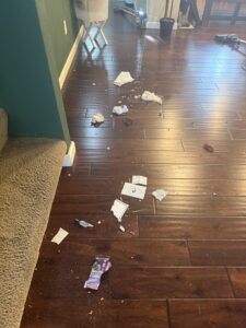 Floor Cleaning Before by Karlas Cleaning Company