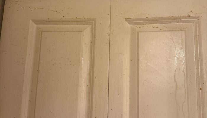 Door_Before cleaning